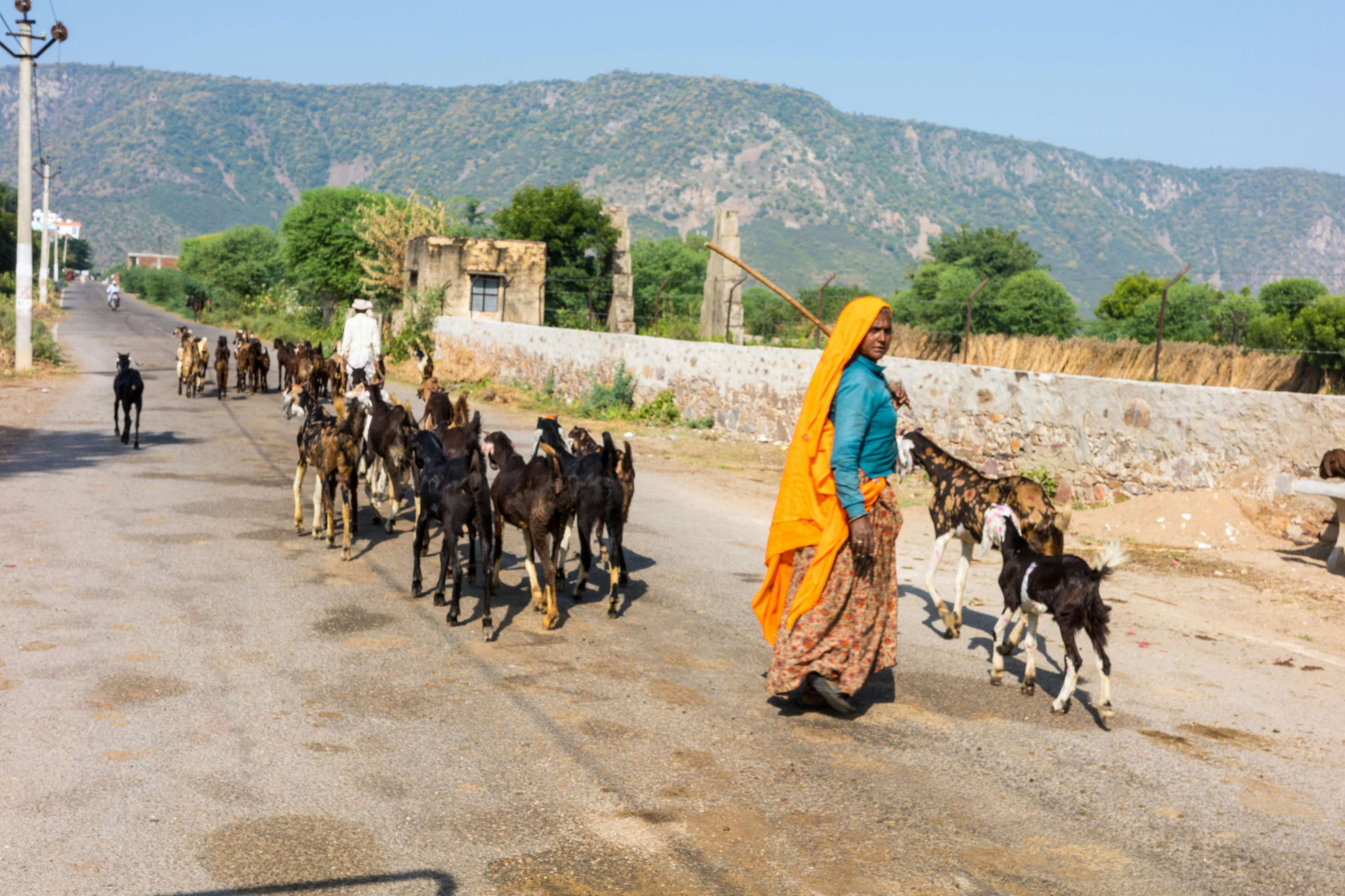 Kutch