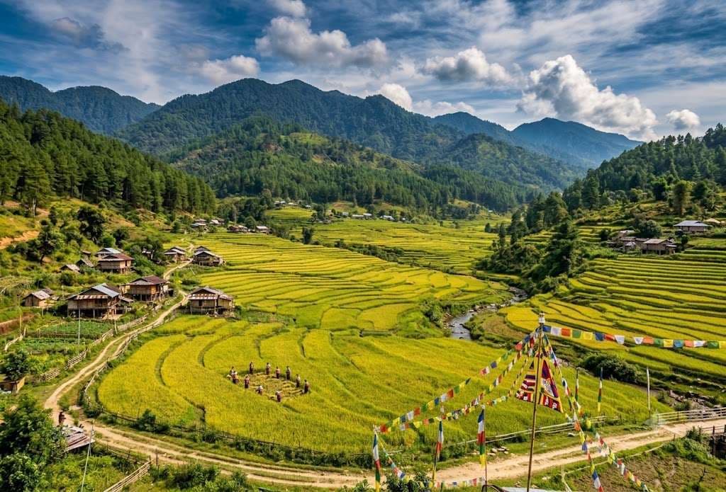 Ziro Valley